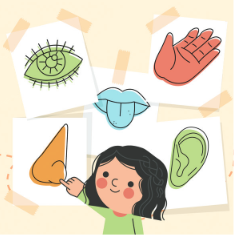 Le parcours des 5 sens